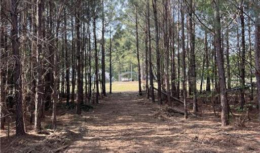 View from mulched pathway to 27