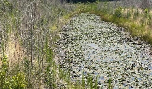 1 of 3 ponds