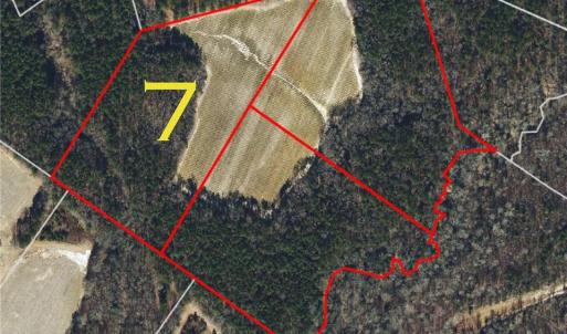 This Plot of Land