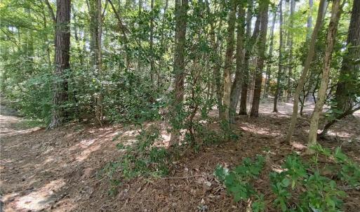 Lightly wooded