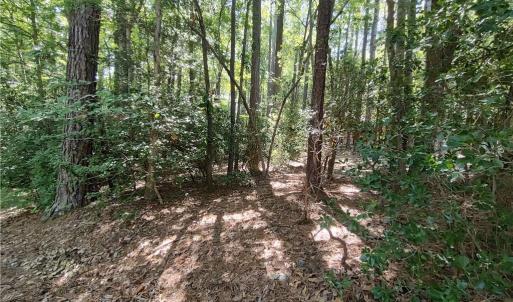Lightly wooded - brush