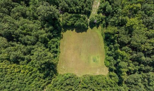 Hunting area with Stand