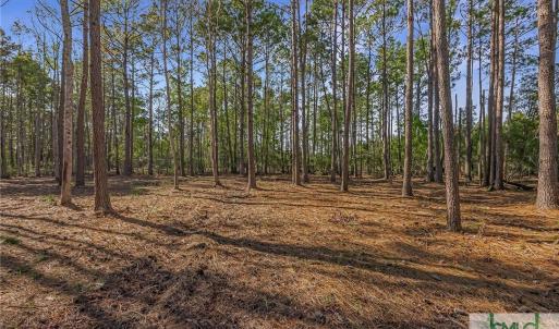 Lot 65 Telfair Plantation