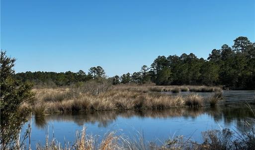 Community Serene Duck Ponds