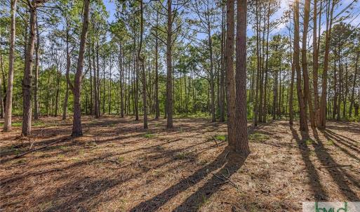 Lot 65 Telfair Plantation
