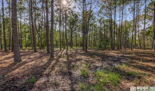 Lot 65 Telfair Plantation