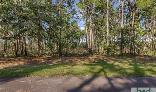 Lot 65 Telfair Plantation