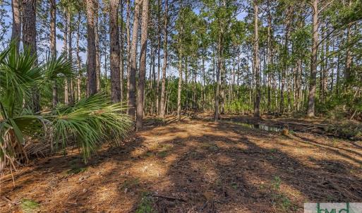 Lot 65 Telfair Plantation