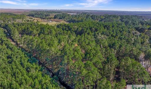 Adjacent Timber Tract