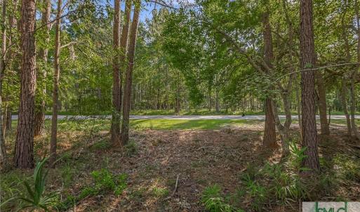 Lot 65 Telfair Plantation
