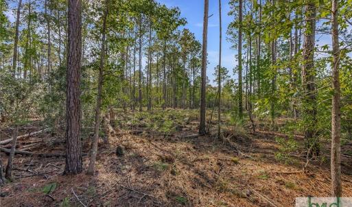 Lot 65 Telfair Plantation