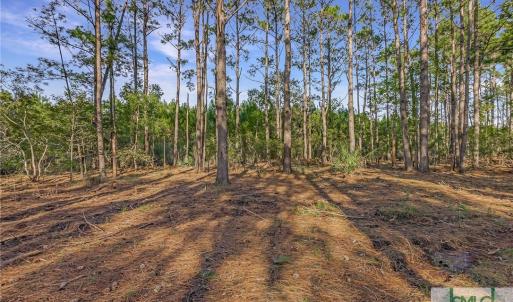 Lot 65 Telfair Plantation
