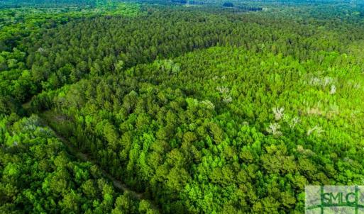 Photo #9 of TBD Dunham Williams, Hardeeville, SC 42.5 acres