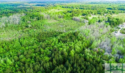 Photo #7 of TBD Dunham Williams, Hardeeville, SC 42.5 acres