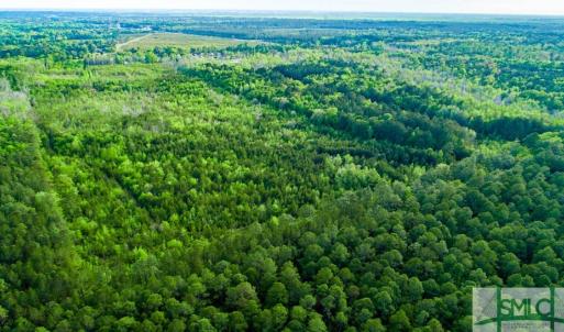 Photo #11 of TBD Dunham Williams, Hardeeville, SC 42.5 acres