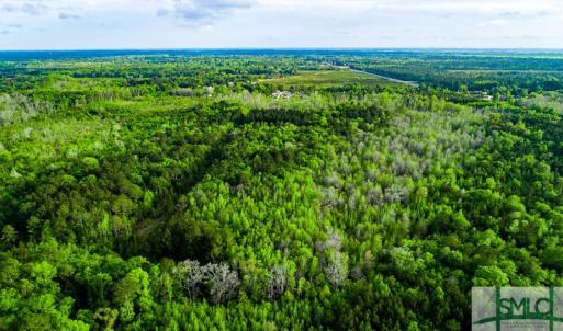 Photo #14 of TBD Dunham Williams, Hardeeville, SC 42.5 acres