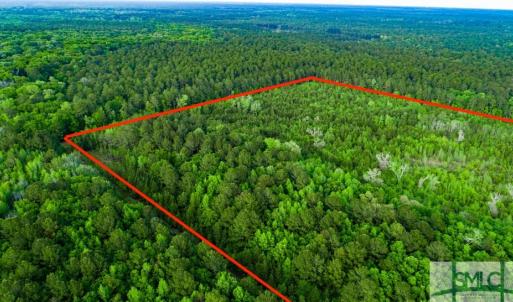 Photo #4 of TBD Dunham Williams, Hardeeville, SC 42.5 acres