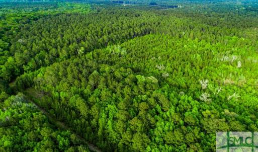 Photo #10 of TBD Dunham Williams, Hardeeville, SC 42.5 acres