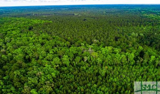 Photo #2 of TBD Dunham Williams, Hardeeville, SC 42.5 acres