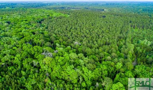 Photo #3 of TBD Dunham Williams, Hardeeville, SC 42.5 acres