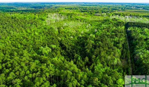 Photo #12 of TBD Dunham Williams, Hardeeville, SC 42.5 acres