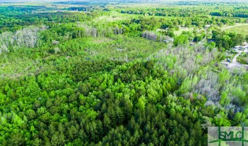 Photo #6 of TBD Dunham Williams, Hardeeville, SC 42.5 acres