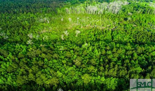 Photo #8 of TBD Dunham Williams, Hardeeville, SC 42.5 acres
