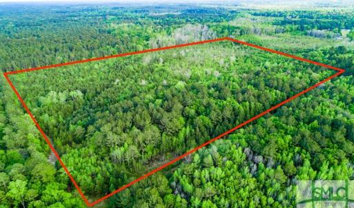 Photo #1 of TBD Dunham Williams, Hardeeville, SC 42.5 acres