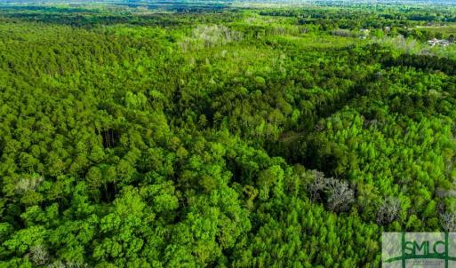 Photo #13 of TBD Dunham Williams, Hardeeville, SC 42.5 acres
