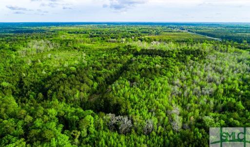 Photo #15 of TBD Dunham Williams, Hardeeville, SC 42.5 acres