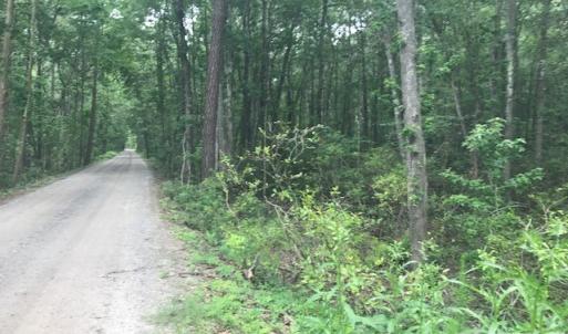 Photo #13 of TBD Lost Oak, Bluffton, SC 20.9 acres