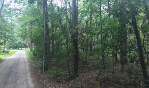 Photo #14 of TBD Lost Oak, Bluffton, SC 20.9 acres