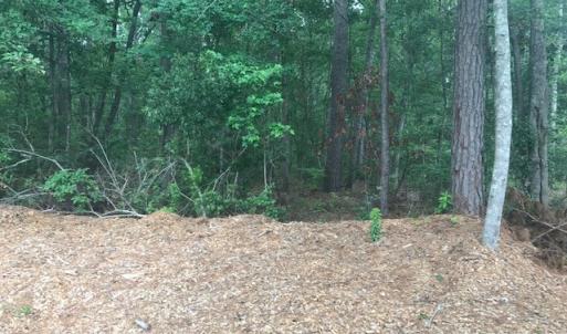 Photo #15 of TBD Lost Oak, Bluffton, SC 20.9 acres