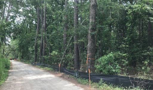 Photo #10 of TBD Lost Oak, Bluffton, SC 20.9 acres