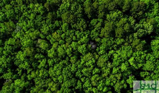 Photo #5 of TBD Lost Oak, Bluffton, SC 20.9 acres