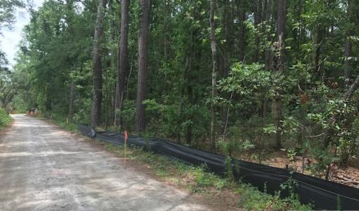 Photo #11 of TBD Lost Oak, Bluffton, SC 20.9 acres