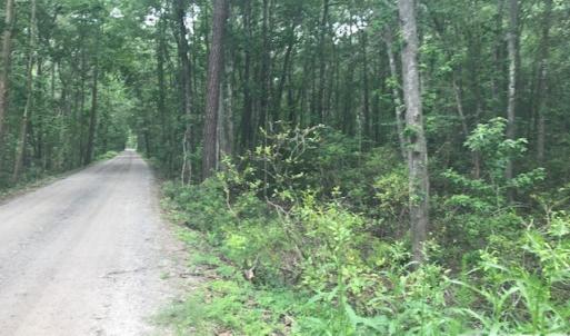 Photo #13 of TBD Lost Oak, Bluffton, SC 20.9 acres