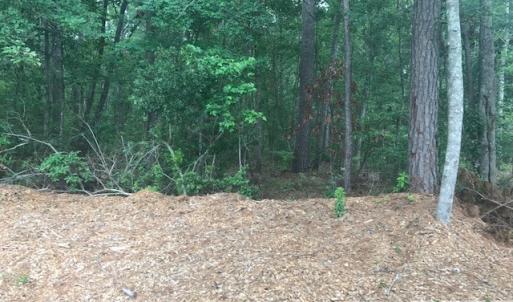Photo #15 of TBD Lost Oak, Bluffton, SC 20.9 acres