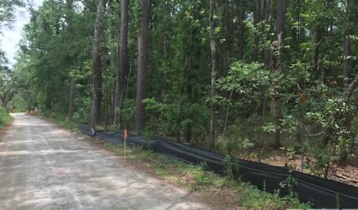 Photo #11 of TBD Lost Oak, Bluffton, SC 20.9 acres