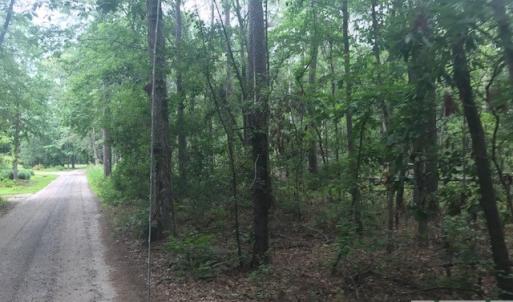 Photo #14 of TBD Lost Oak, Bluffton, SC 20.9 acres