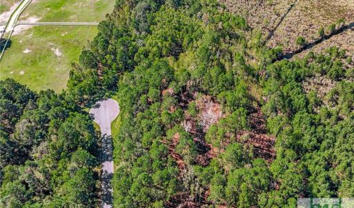 Lot 66 Telfair Plantation across street from SCAD