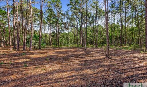 Lot 66 Telfair Plantation