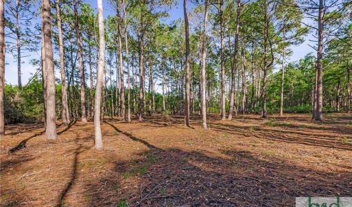 Lot 66 Telfair Plantation