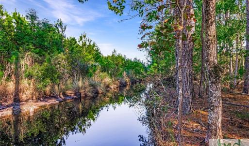 Lot 66 Telfair Plantation Kayak Trail