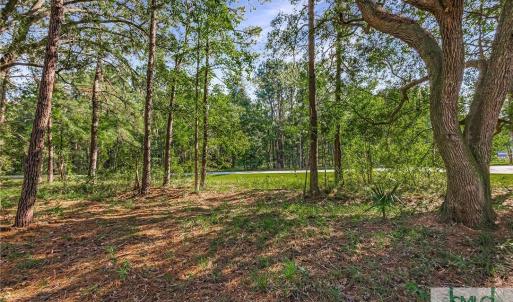 Lot 66 Telfair Plantation