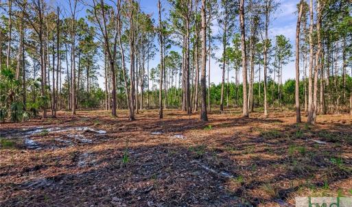 Lot 66 Telfair Plantation