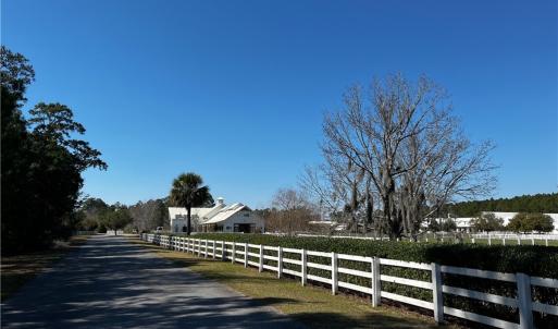 SCAD Paddocks along entry to the Telfair gate