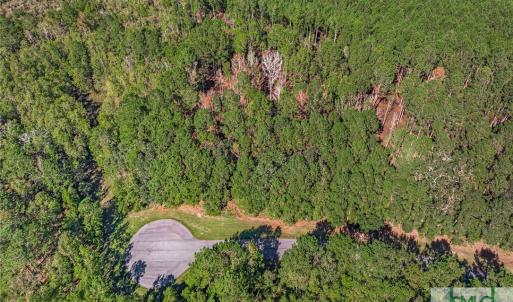 Lot 66 Telfair Plantation Cul de Sac at Hunter's L