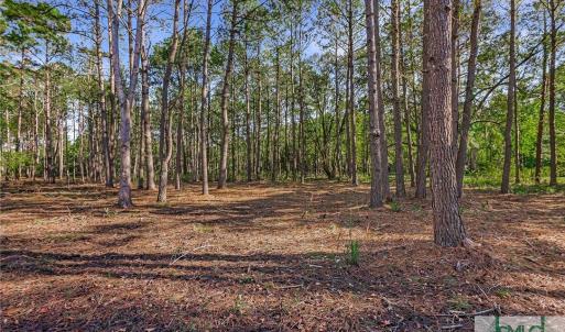 Lot 66 Telfair Plantation