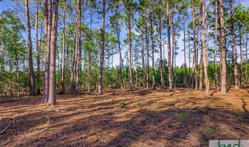 Lot 66 Telfair Plantation